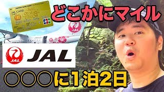 JALどこかにマイルで当たりでたJALカードの魅力も改めて紹介 [upl. by Van]