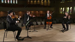 Ludwig van Beethoven String Quartet Op 59 No 3 2nd Movement [upl. by Adranoel]