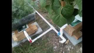 Check out this Very Impressive Self Watering Rain Gutter Grow System [upl. by Tnias592]