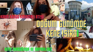 DOĞUM GÜNÜMDE KENE ISIRDI  ACİLE GİTTİK  Kırım Kongo Kanamalı Ateşi  Neler Yaşadım  Vlog [upl. by Strauss]