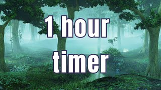 Green Man Woods Timer  No music w alarm  time stamped [upl. by Anner636]