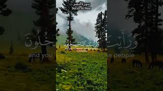 Surah Al Nasr Beautiful Tilawat With Translation  Quran Reciting [upl. by Airetas706]