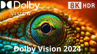 EXPERIENCE the Powerof DOLBY VISION Screen 8K Ultra HD 120FPS HDR [upl. by Louis]