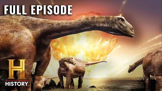 Why Did Mammals Survive Dinosaurs Extinction [upl. by Damahom]