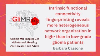 Intrinsic functional connectivity fingerprinting reveals more heterogeneous network organization [upl. by Schild]