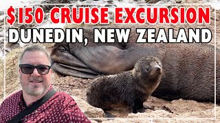 Natures Wonders Cruise Excursion Dunedin New Zealand [upl. by Annauqal]