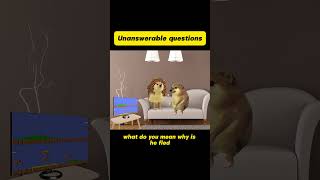 Unanswerable questions。funny animations [upl. by Arehs]