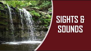 Sights amp Sounds of Christman Sanctuary Duanesburg NY [upl. by Juanne]