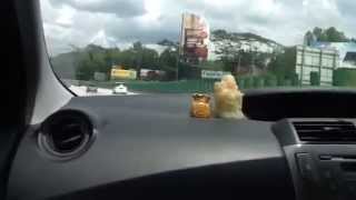 Perodua Alza driving in Genting highlands [upl. by Nenerb]