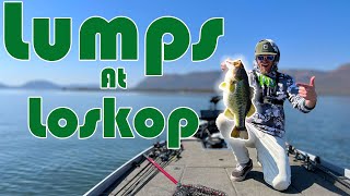 Fishing Loskop Dam For Record Breaking Big Bass South Africa [upl. by Limaa]