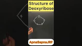 Deoxyribose sugar apnasapnajrf shorts [upl. by Ahseim]