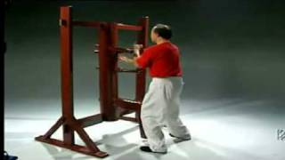 Mai Gei Wong Wing Chun by Wong Nim Yi Sifu [upl. by Leckie964]