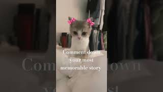 Hellou🎀comment down your most memorable story👇Pinksparklesvids [upl. by Hcirdla]