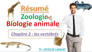 Résumé biologie animale Résumé zoologie [upl. by Spearing]