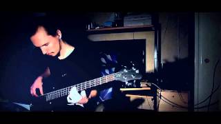 Bat Country  Avenged Sevenfold  Bass Cover [upl. by Bogey]