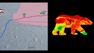 Expect 11th Lowest Arctic Sea Ice on Record or Higher at Maximum [upl. by Ariat]