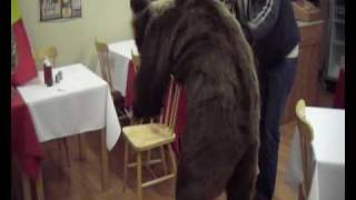 ursul la londra  Romania winter traditions  the bear  volovat [upl. by Enamrahc]