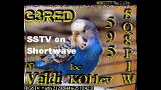 SSTV Bilder von Funkamateuren auf Kurzwelle mit WebSDR empfangen [upl. by Ohara]