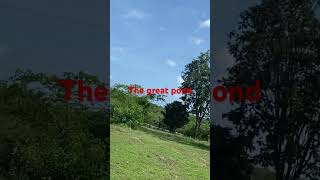 The great pond st Elizabeth jamaica love satisfying subscribe [upl. by Lamdin]