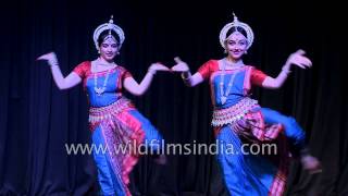 Indian girls perform Odissi dance in Delhi [upl. by Eiramacissej430]