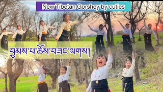 New Trending Tibetan Gorshey  Jampa Choesang Lak བྱམས་པ་ཆོས་བཟང་ལགས། tibetandance gorshey [upl. by Eiralam]