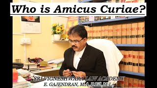 Who is Amicus Curiae [upl. by Rothwell]