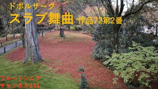 「スラブ舞曲 作品72第2番」 [upl. by Esinal]