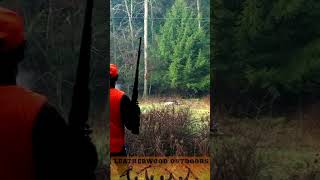 3040 Krag Rifle vs Record Book Buck in Pennsylvania [upl. by Garnett]