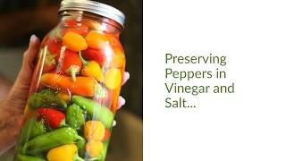 Preserving Peppers in Vinegar and Salt [upl. by Kerr105]