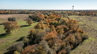 Luling Cattle Ranch [upl. by Eifos]