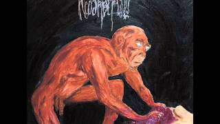 Neoandertals  Ebu Gogo Gutting The Child Full Album [upl. by Rust]