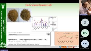 Current understanding and progress in research of Ustilaginoidea virens a global threat rice growers [upl. by Immas]