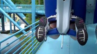 Manta HD onride POV SeaWorld Orlando [upl. by Attenehs]