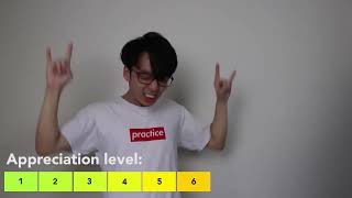 TWOSET VIOLIN  10 Levels of Classical Music Appreciation repost [upl. by Arnuad970]