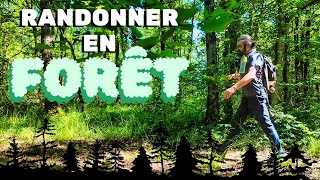 Astuces pour découvrir les 10 bienfaits de la marche en forêt 🌿🚶‍♂️ [upl. by Yoshio]