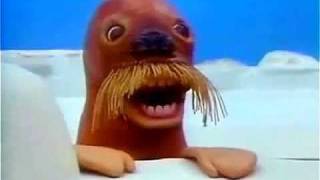 Pingu  Walrus original video [upl. by Llereg]