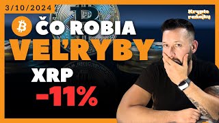 Dá Bitcoin 100 000 XRP padlo o 11 percent BTC kryptoraňajky [upl. by Helas]