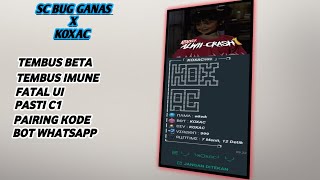 SC BUG KOXAC TEMBUS BETA  PAIRING KODE  BOT WHATSAPP [upl. by Atnicaj]