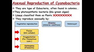 Plant Reproduction  Reproduction of Prokaryotes [upl. by Kirre436]