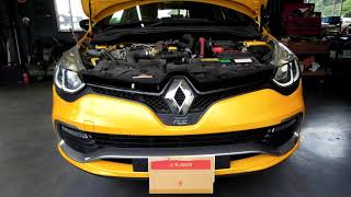 【M5M】RENAULT CLIO LUTECIA RS 車台番号＆原動機型式打刻箇所＋OBDカプラー位置【車検時必見】44秒 number location ルノー ルーテシア [upl. by Nalaf]