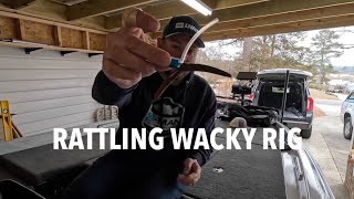 Bassmaster Opens EQ Lake Okeechobee Days 1 amp 2Rattling Wacky Rig [upl. by Efar902]