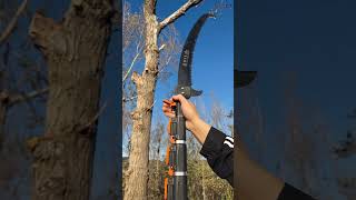 You can stand down from this argestable saw and cut down a tall tree shortvideo [upl. by Kral]