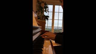 Wiegenlied 281 K350 Mozarts Lullaby  Played by David Meister [upl. by Perrin]