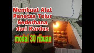 Tutorial membuat Alat Penetas Telur Sederhana Dari Kardus [upl. by Fauman]