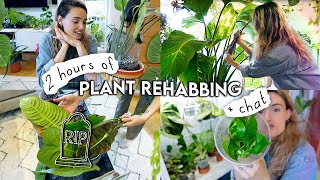 🔔 2 Hours Of Houseplant REHAB 🌱 Repotting Propagating Styling Rehabbing  Organising Plants [upl. by Gneh]