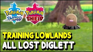 Pokemon Sword amp Shield All Diglett Locations in Training Lowlands The Isle of Armor DLC [upl. by Sivaj]