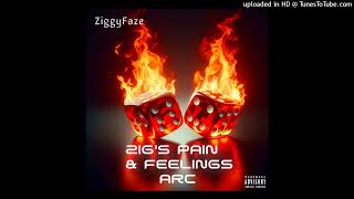 Zigs  Argue amp Frustration Prod By LowRay [upl. by Blaze]