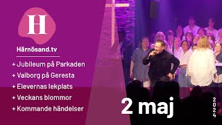 Härnösandtv  2 maj 2024 [upl. by Eenimod54]