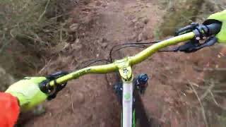 wooler common mtb trails Northumberland [upl. by Nunciata58]