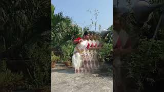 Rupang Dehi Jayang Dehidurga songdance [upl. by Nomde]